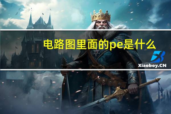 电路图里面的pe是什么