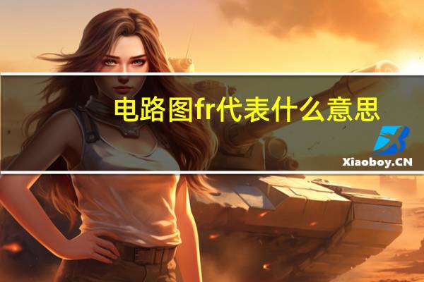 电路图fr代表什么意思