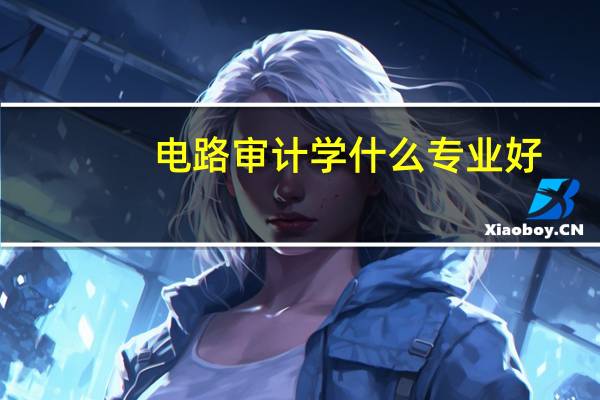 电路审计学什么专业好