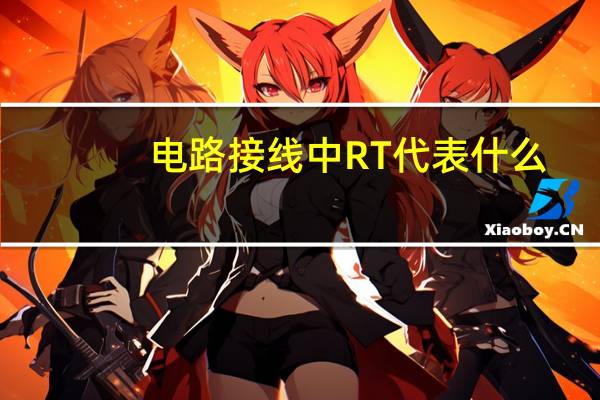 电路接线中RT代表什么