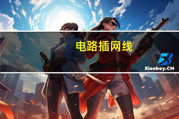 电路插网线