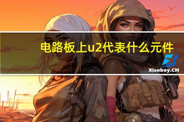 电路板上u2代表什么元件