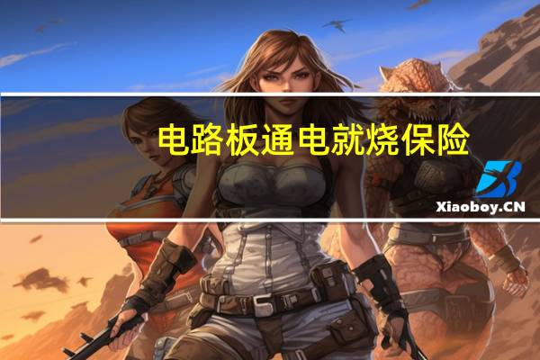 电路板通电就烧保险