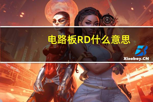 电路板RD什么意思