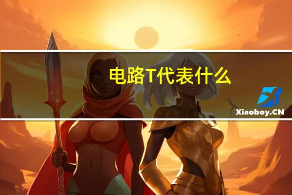 电路T代表什么