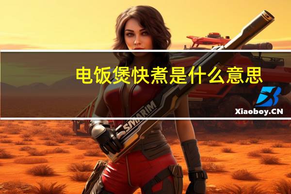电饭煲快煮是什么意思