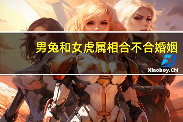 男兔和女虎属相合不合婚姻
