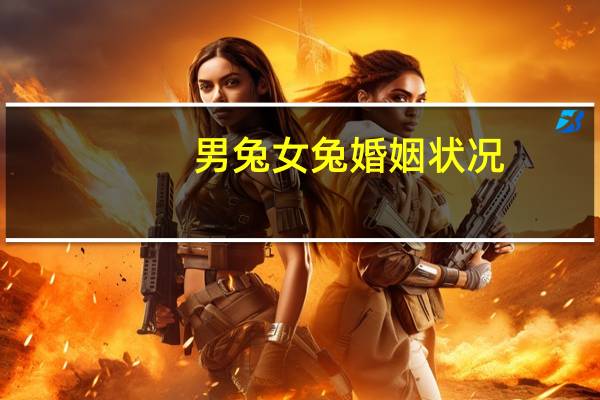 男兔女兔婚姻状况
