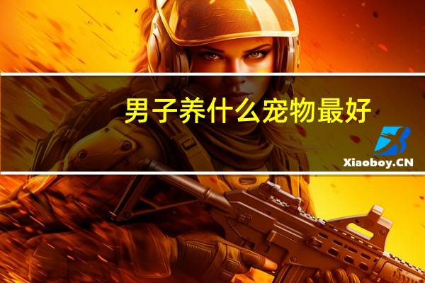 男子养什么宠物最好