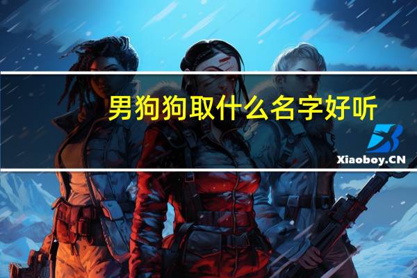 男狗狗取什么名字好听