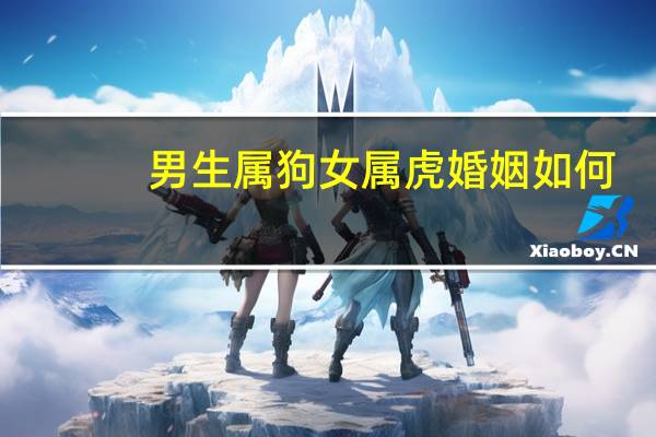 男生属狗女属虎婚姻如何