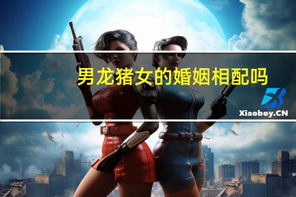 男龙猪女的婚姻相配吗