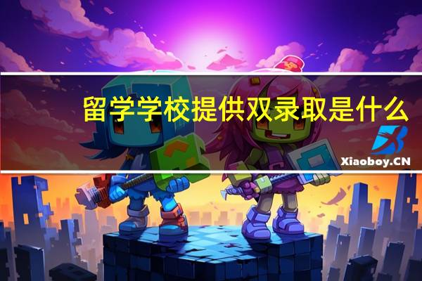 留学学校提供双录取是什么