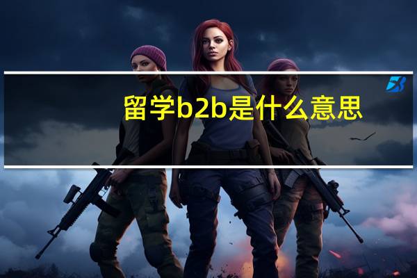 留学b2b是什么意思