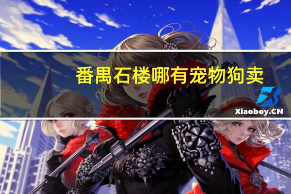 番禺石楼哪有宠物狗卖