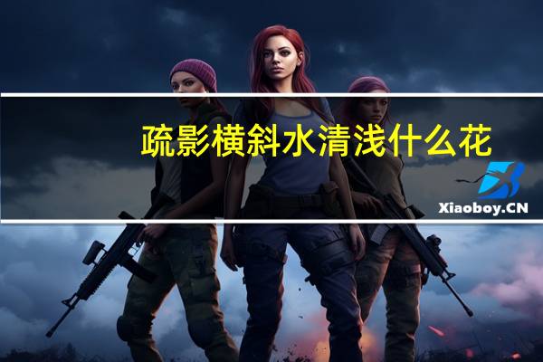 疏影横斜水清浅什么花