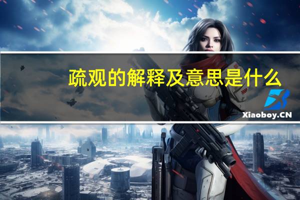 疏观的解释及意思是什么
