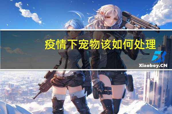 疫情下宠物该如何处理