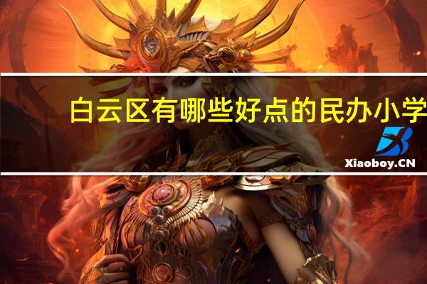 白云区有哪些好点的民办小学