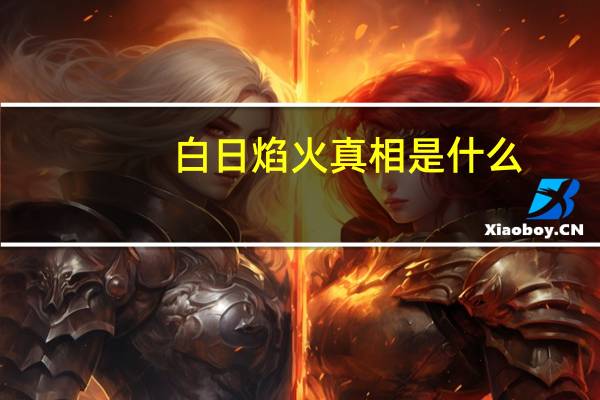 白日焰火真相是什么