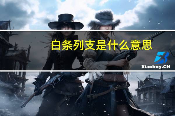 白条列支是什么意思