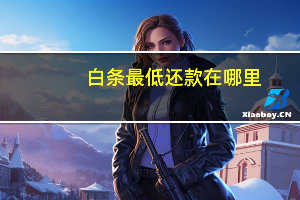 白条最低还款在哪里