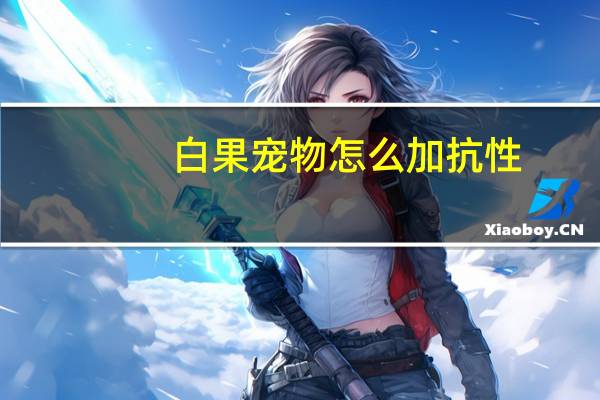 白果宠物怎么加抗性