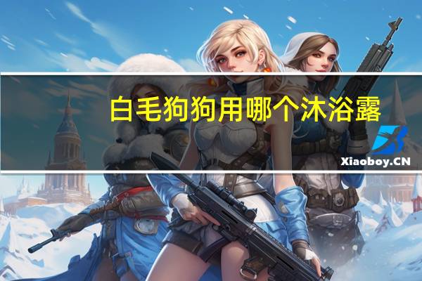 白毛狗狗用哪个沐浴露