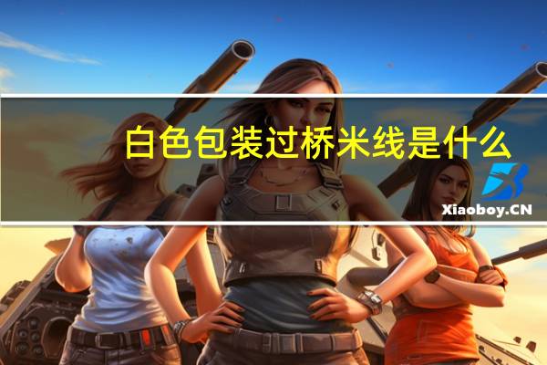 白色包装过桥米线是什么