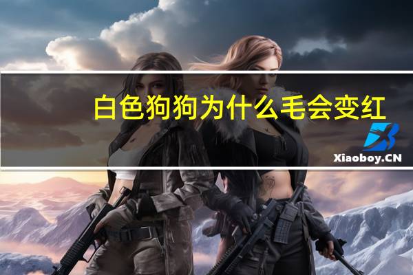 白色狗狗为什么毛会变红