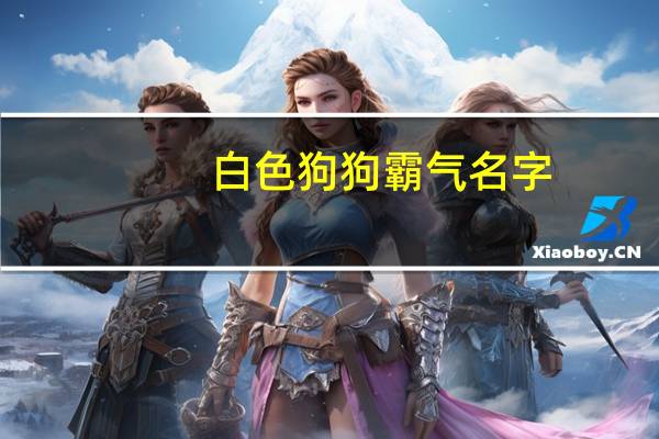 白色狗狗霸气名字