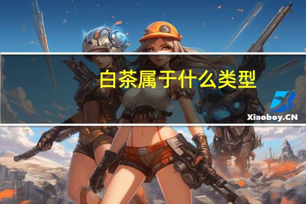 白茶属于什么类型
