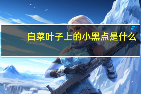 白菜叶子上的小黑点是什么