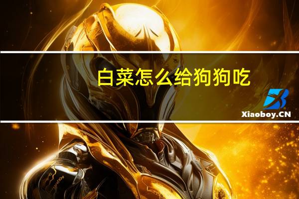 白菜怎么给狗狗吃
