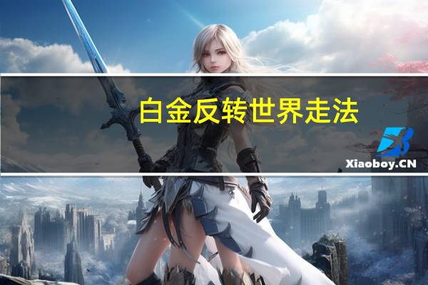 白金反转世界走法