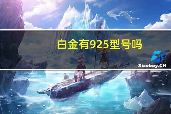 白金有925型号吗