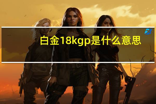 白金18kgp是什么意思