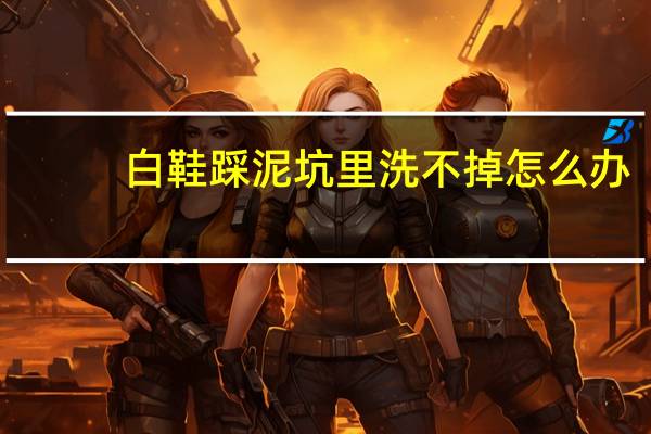 白鞋踩泥坑里洗不掉怎么办