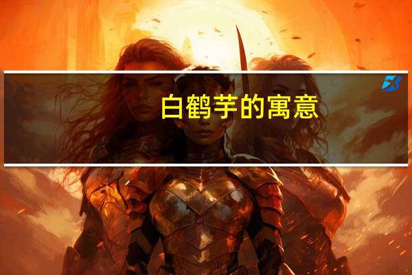 白鹤芋的寓意