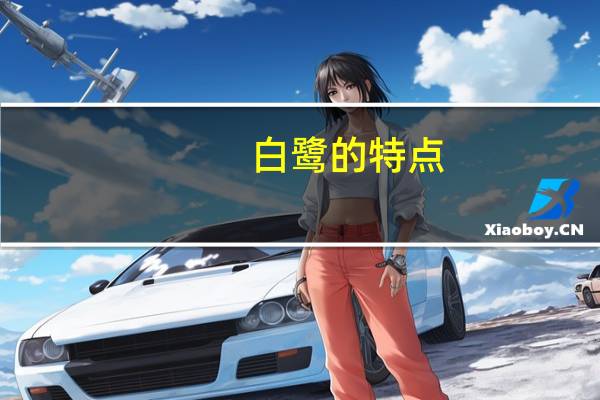白鹭的特点