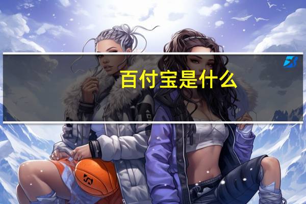 百付宝是什么