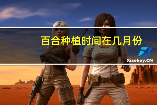 百合种植时间在几月份