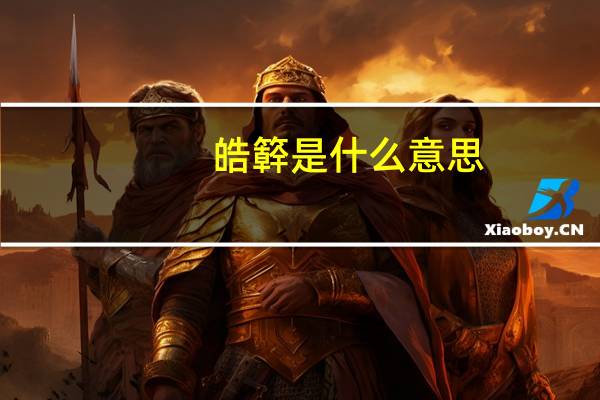 皓簳是什么意思