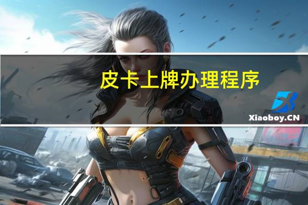 皮卡上牌办理程序