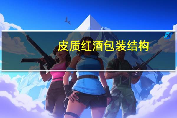皮质红酒包装结构