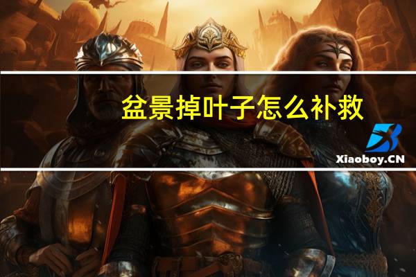 盆景掉叶子怎么补救