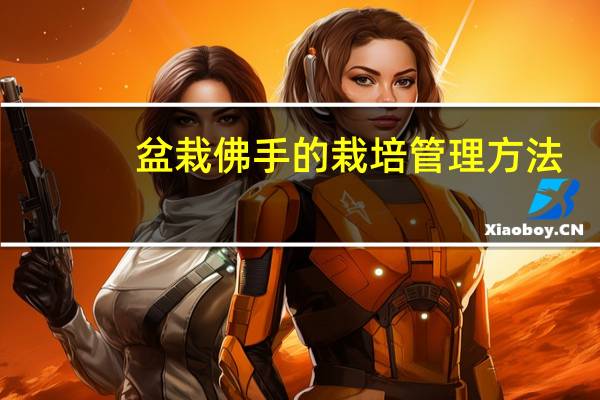 盆栽佛手的栽培管理方法