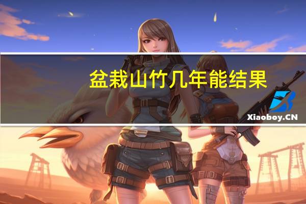 盆栽山竹几年能结果
