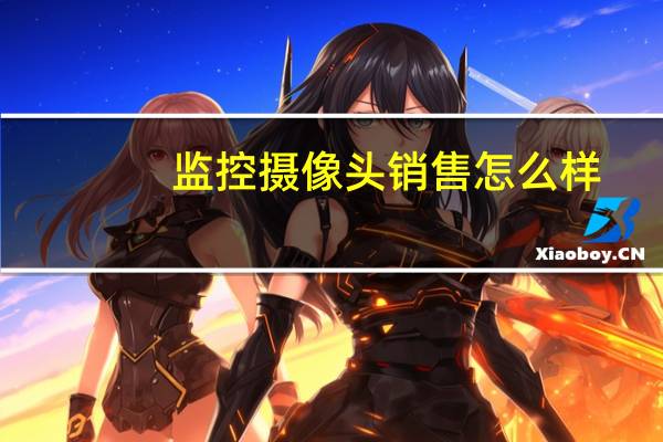 监控摄像头销售怎么样