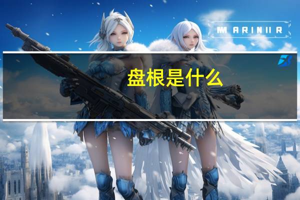 盘根是什么